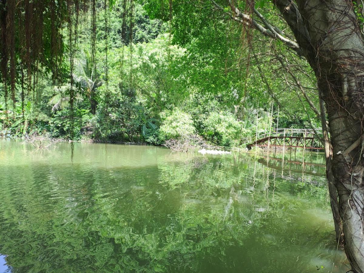 Thung Sen Tam Coc Chalets ニンビン エクステリア 写真