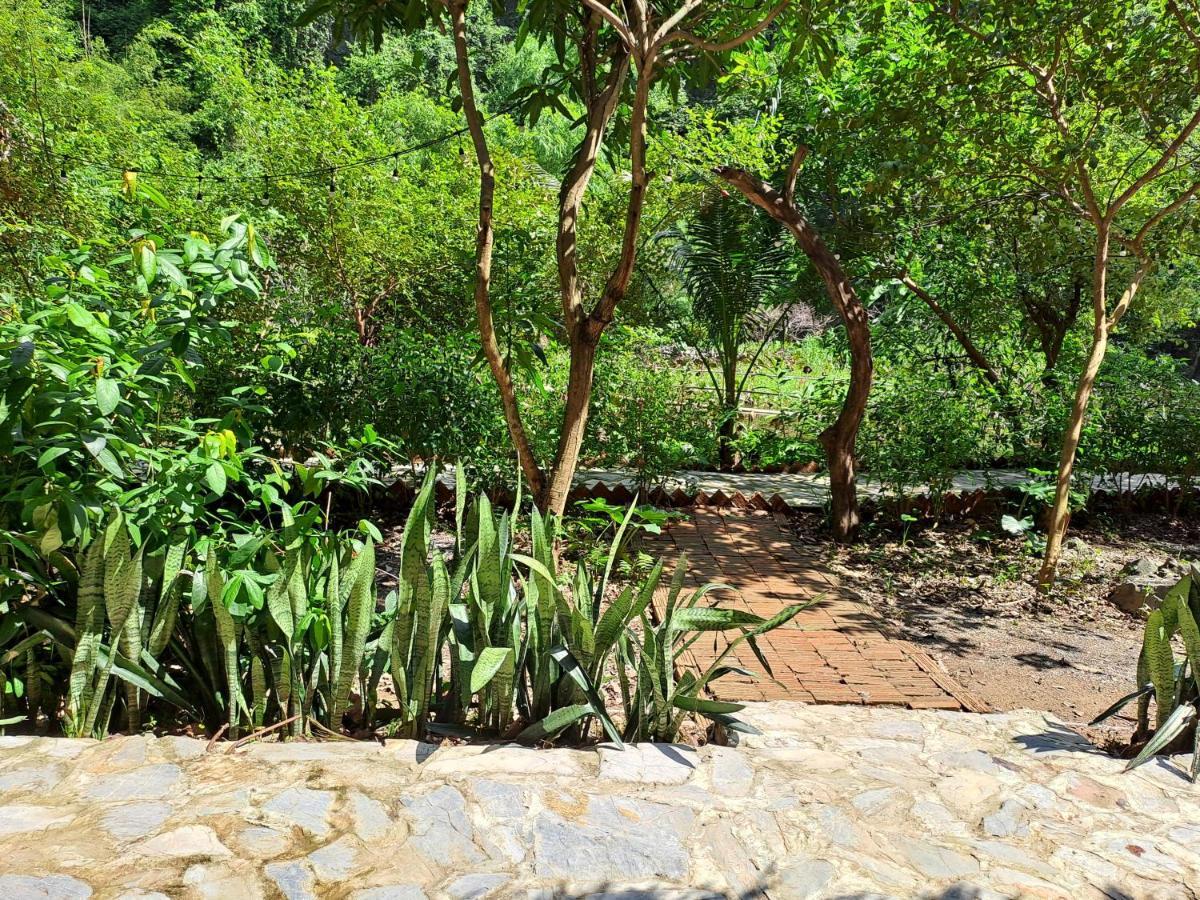 Thung Sen Tam Coc Chalets ニンビン エクステリア 写真