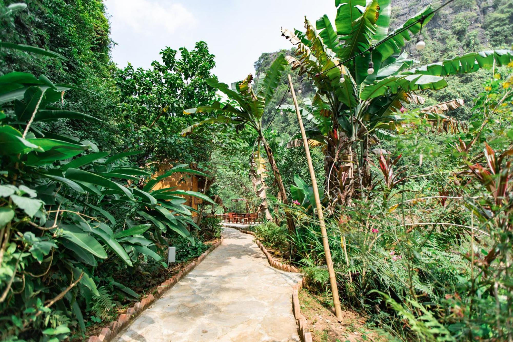 Thung Sen Tam Coc Chalets ニンビン エクステリア 写真