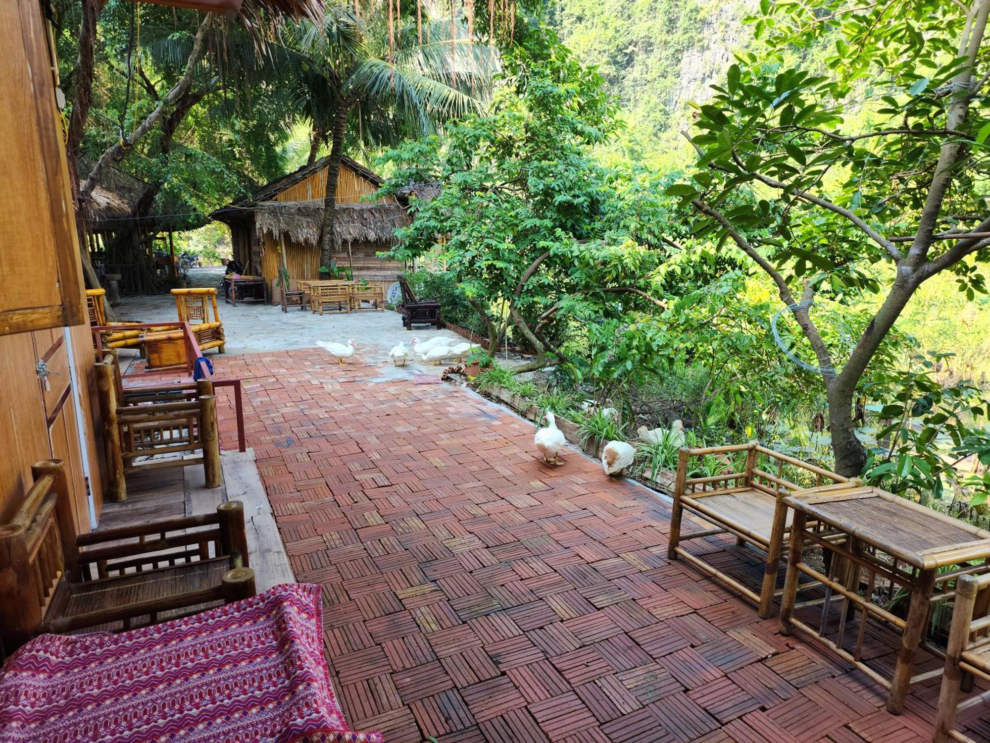 Thung Sen Tam Coc Chalets ニンビン エクステリア 写真