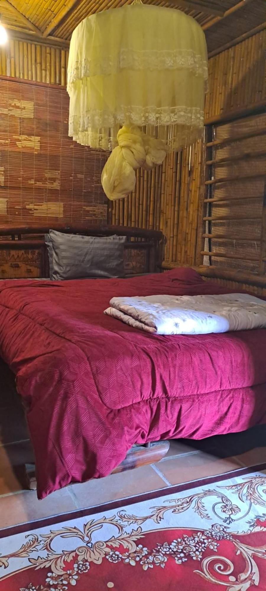 Thung Sen Tam Coc Chalets ニンビン エクステリア 写真
